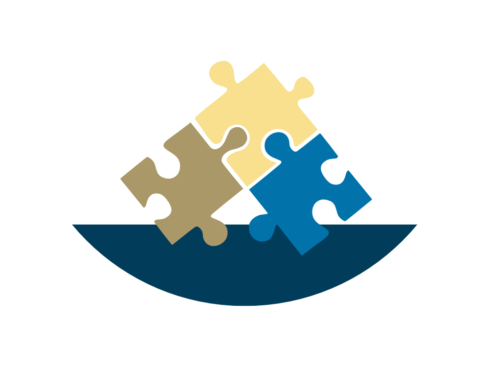 Puzzle icon